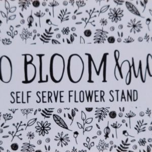 Bloom Bucksimage