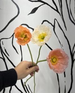Poppy – Peach/Orangeimage