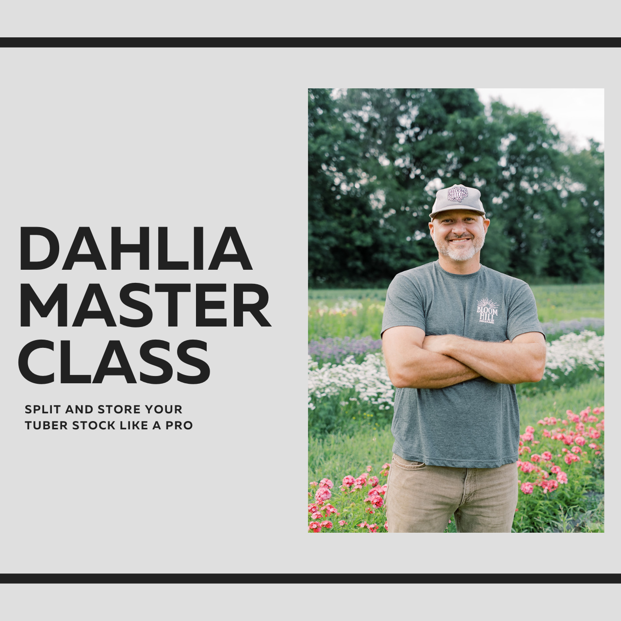 Dividing Dahlias Masterclass